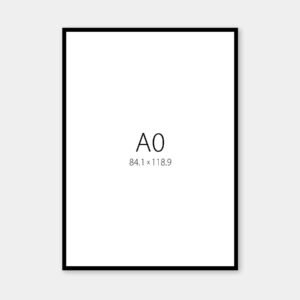 A0 Frame 1