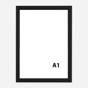 A1 Frame 1