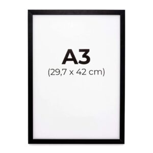 A3 Frame 1