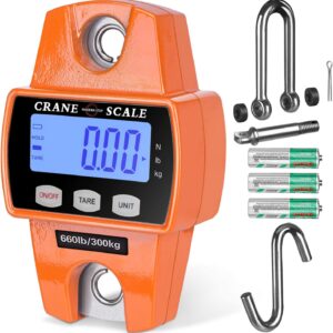 Hanging Weighing Scale Upto 300 kg