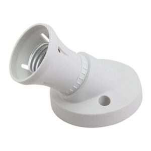 Angled Bulb Holder B22(Pin)